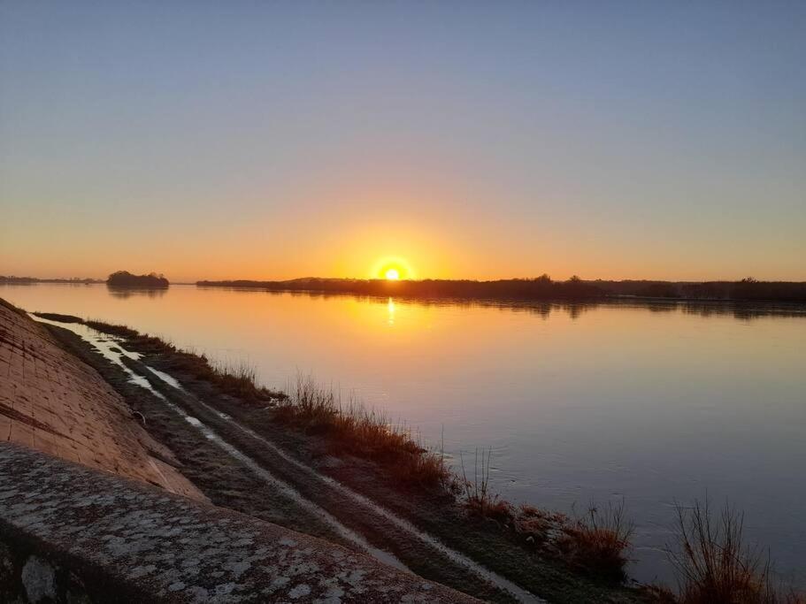 Gite En Bord De Loire Blaison-Saint-Sulpice エクステリア 写真