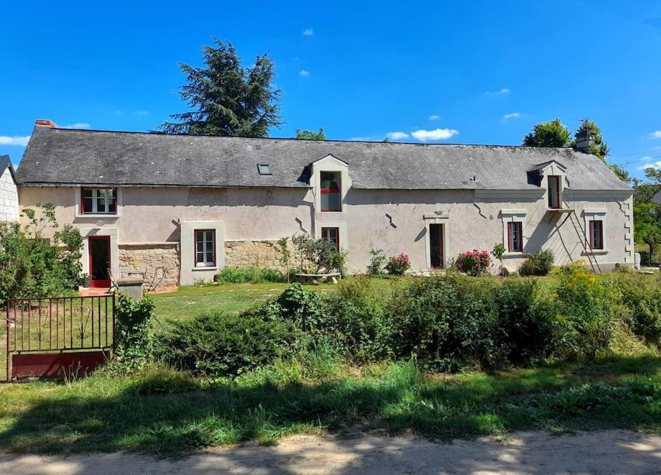 Gite En Bord De Loire Blaison-Saint-Sulpice エクステリア 写真