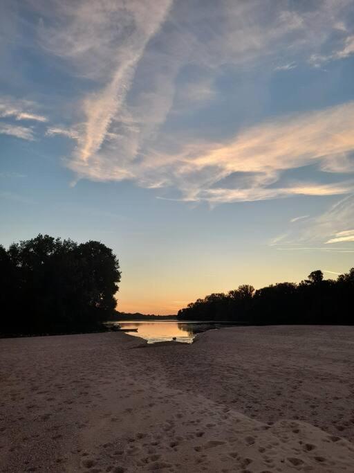 Gite En Bord De Loire Blaison-Saint-Sulpice エクステリア 写真