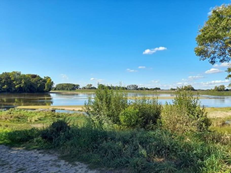 Gite En Bord De Loire Blaison-Saint-Sulpice エクステリア 写真