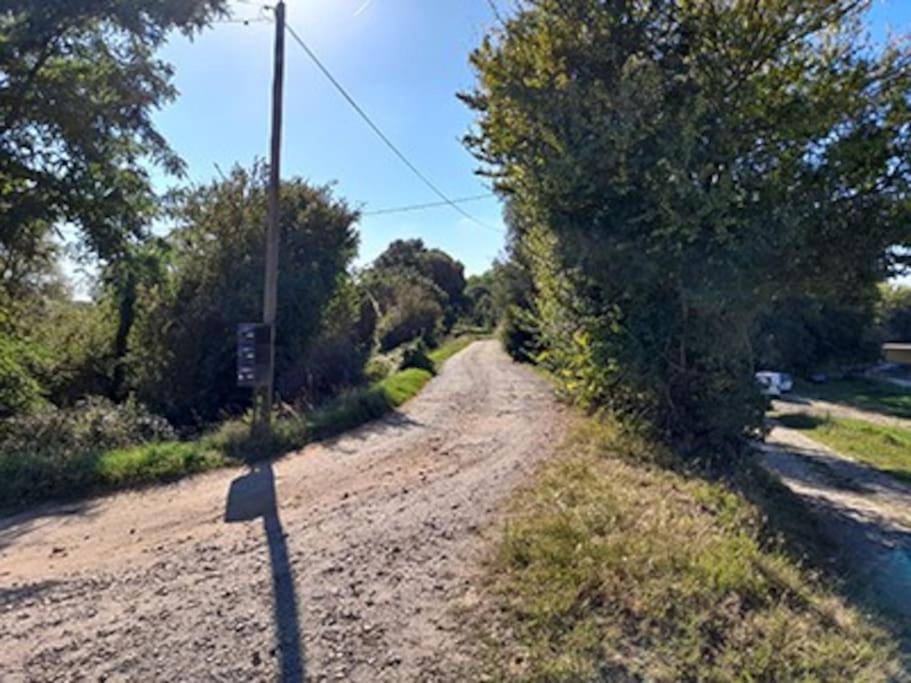 Gite En Bord De Loire Blaison-Saint-Sulpice エクステリア 写真