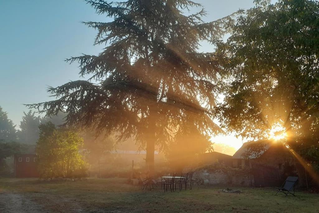 Gite En Bord De Loire Blaison-Saint-Sulpice エクステリア 写真