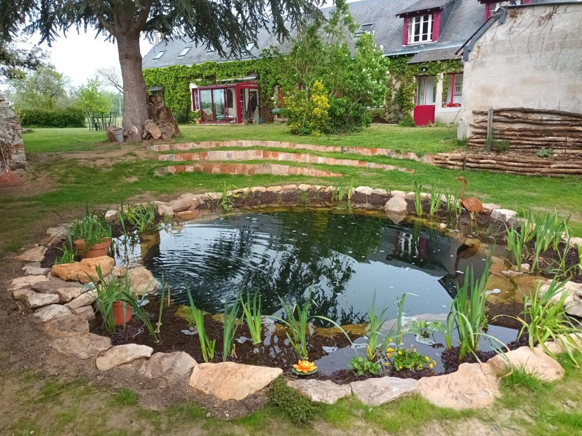 Gite En Bord De Loire Blaison-Saint-Sulpice エクステリア 写真