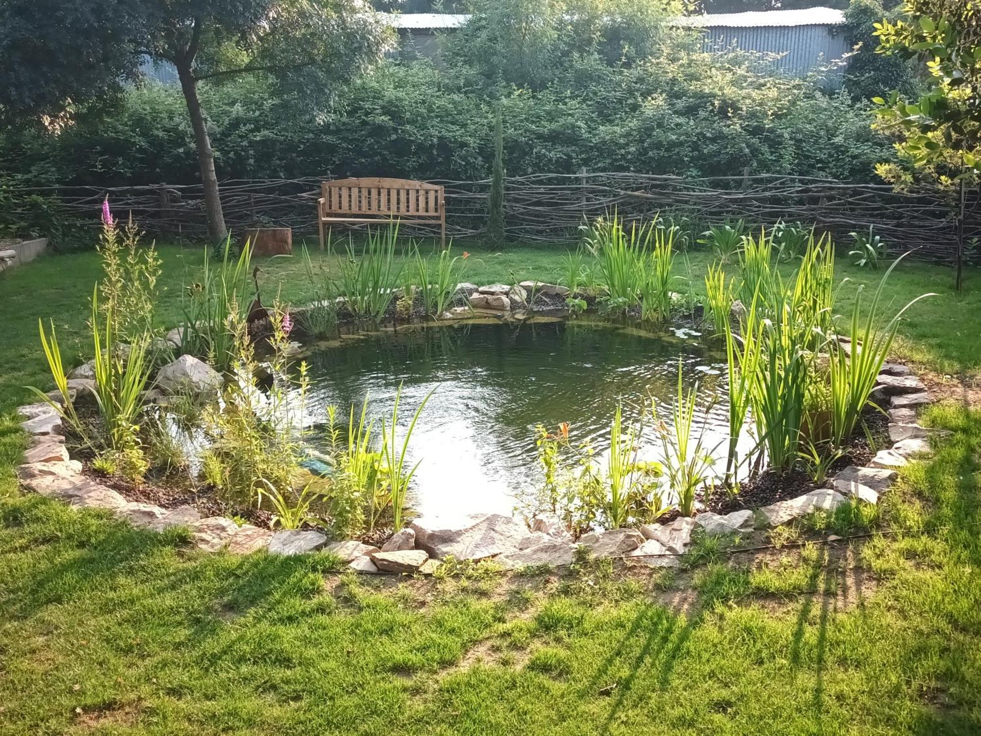 Gite En Bord De Loire Blaison-Saint-Sulpice 部屋 写真